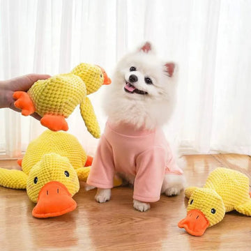Fun and Durable Duck Toy for Dogs